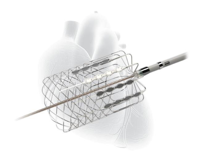 Cardionomic product and heart
